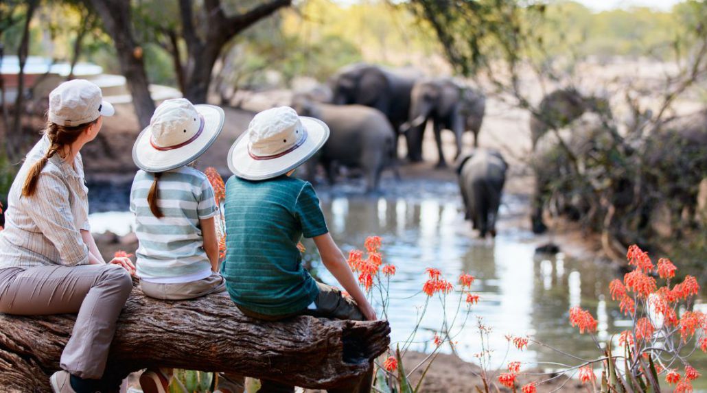 Experience the Ultimate 10-Day Family Adventure in South Africa!
